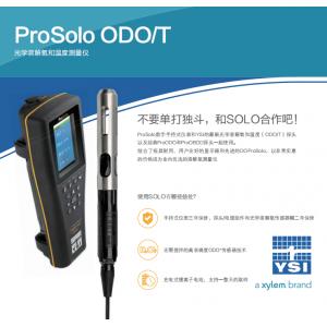 YSI維賽光學(xué)溶解氧和溫度測(cè)量?jī)xProSolo （4米）